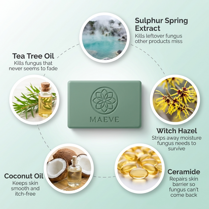 Maeve Antifungal Soap